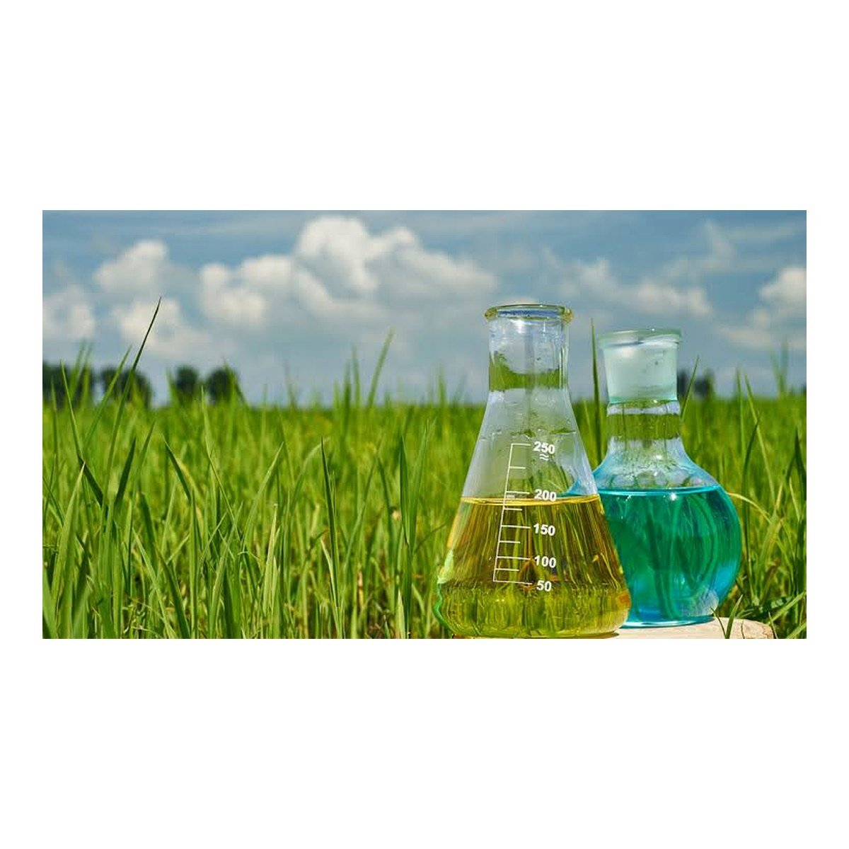 Agricultural Chemicals