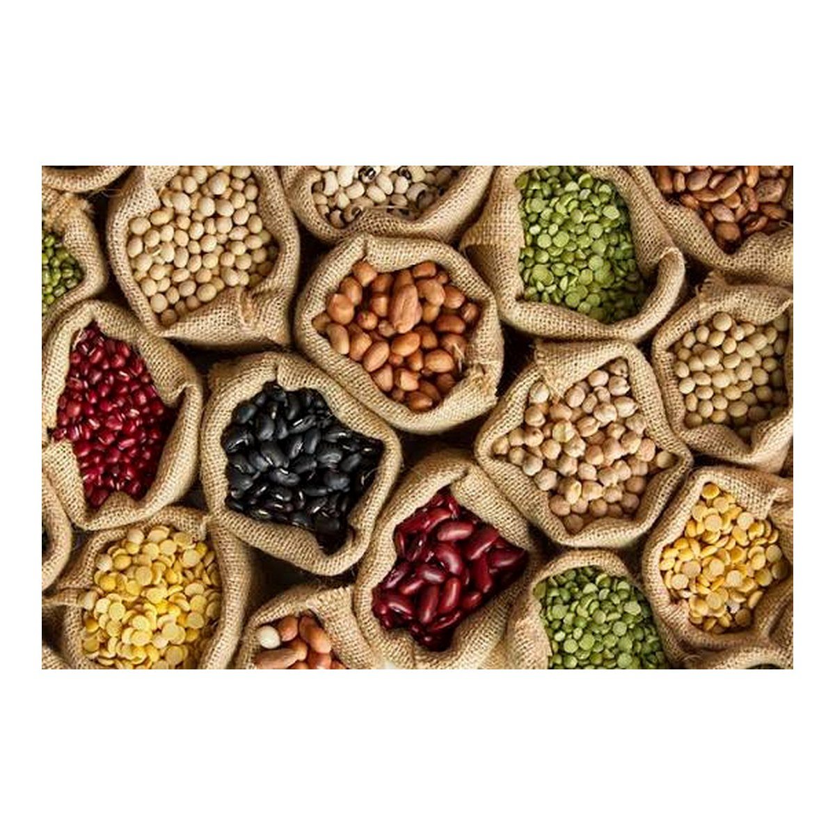 Agricultural Seeds