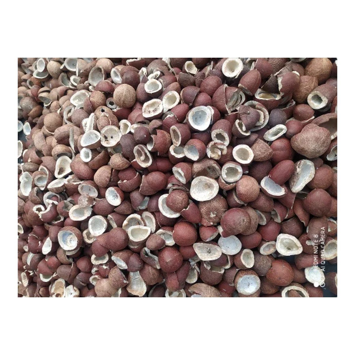 Non-Sulphur Coconut