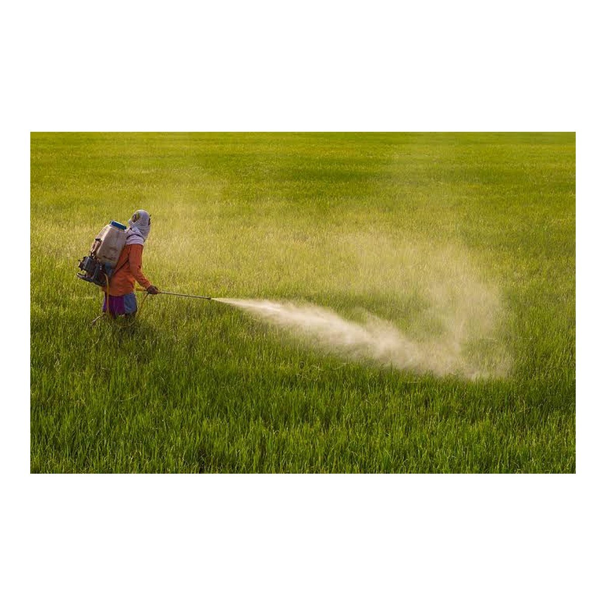 Pesticides