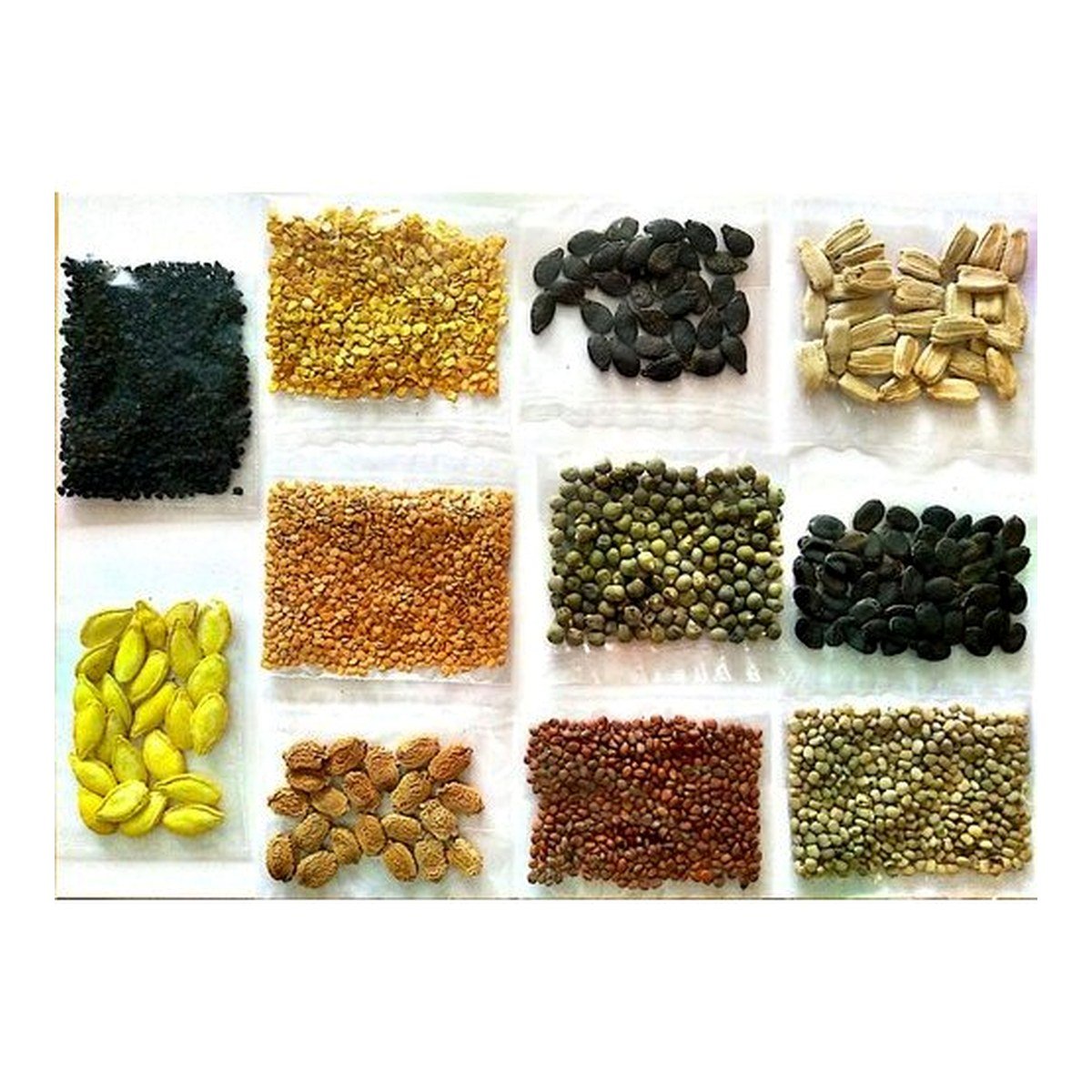 Vegetable Seeds